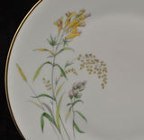 Pair of Salad Plate(s) Rosenthal Summer Blossoms Bettina 3179 White Gold Trim