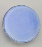 Baccarat Capricorn Zodiac Sulfide Light Blue Background Art Glass Paperweight