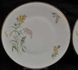 Pair of Salad Plate(s) Rosenthal Summer Blossoms Bettina 3179 White Gold Trim