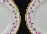 Set of 8 Antique Royal Chelsea Raised Gold and Pink Roses Plates 1900