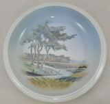 Royal Copenhagen Large Porcelain Hand Painted Landscape Bowl 1966